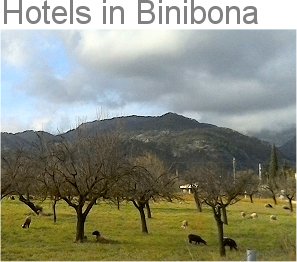 Hotels in Binibona