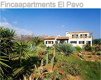 Appartments El Pavo in Llucmajor