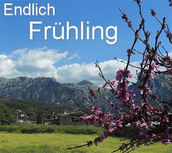 Frühling auf Mallorca
