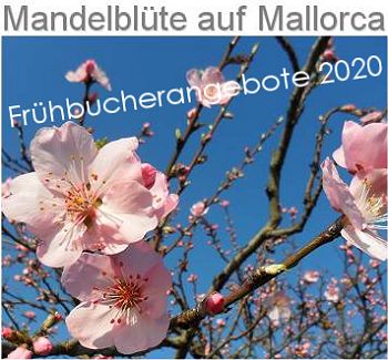 Frhbucherangebote zur Mandeblte 2020