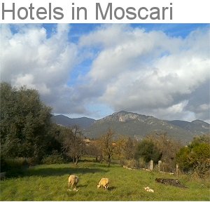 Hotels in Moscari