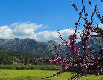 Ostern auf Mallorca