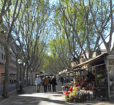 Palma de Mallorca