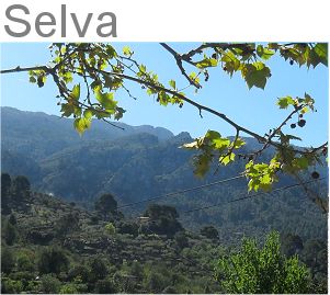 Selva Caimari Moscari