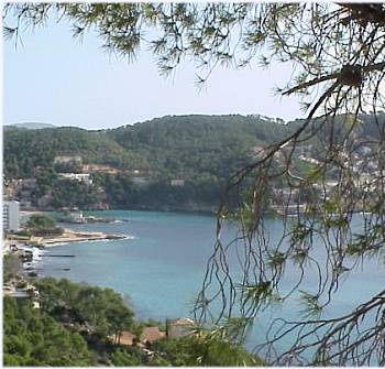 Camp de Mar