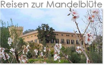 Fruehbuchergutschein zur Mandelblüte