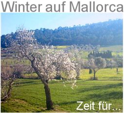 Winter auf Mallorca